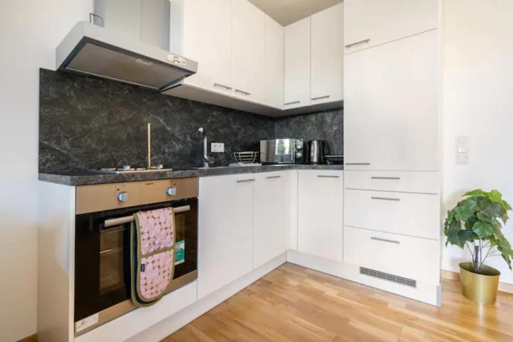 Near Lake Fully Furnished Beautiful Apartment Вена Экстерьер фото